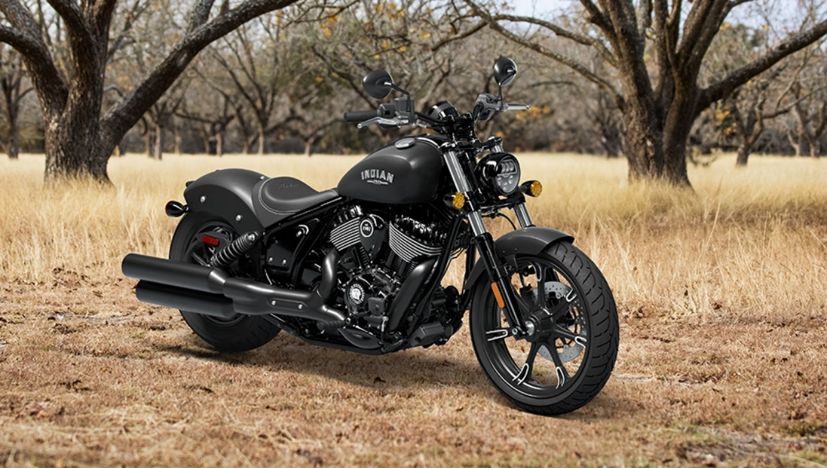 Indian Chief Dark Horse